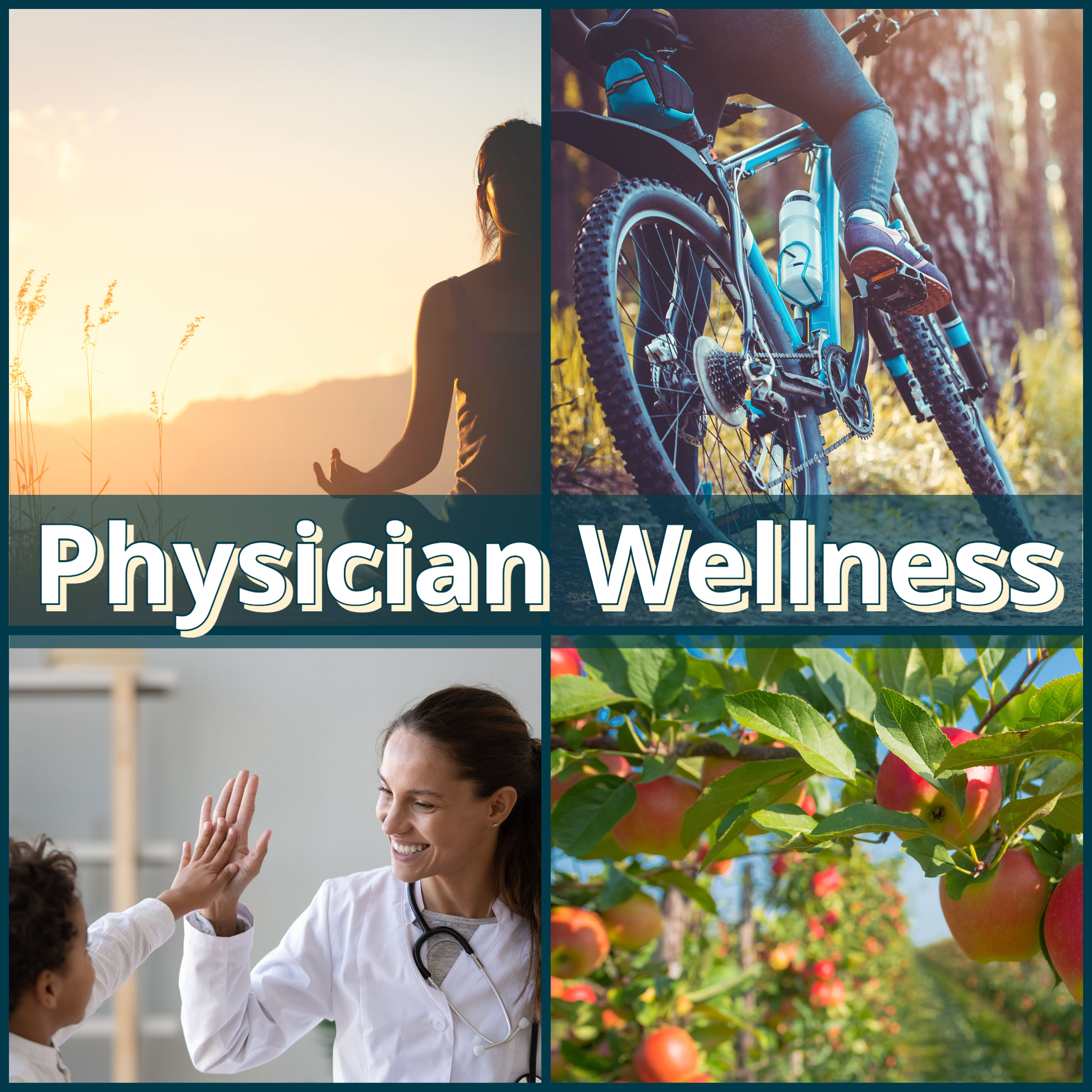 Physician Wellness