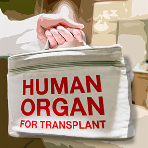 organdonation