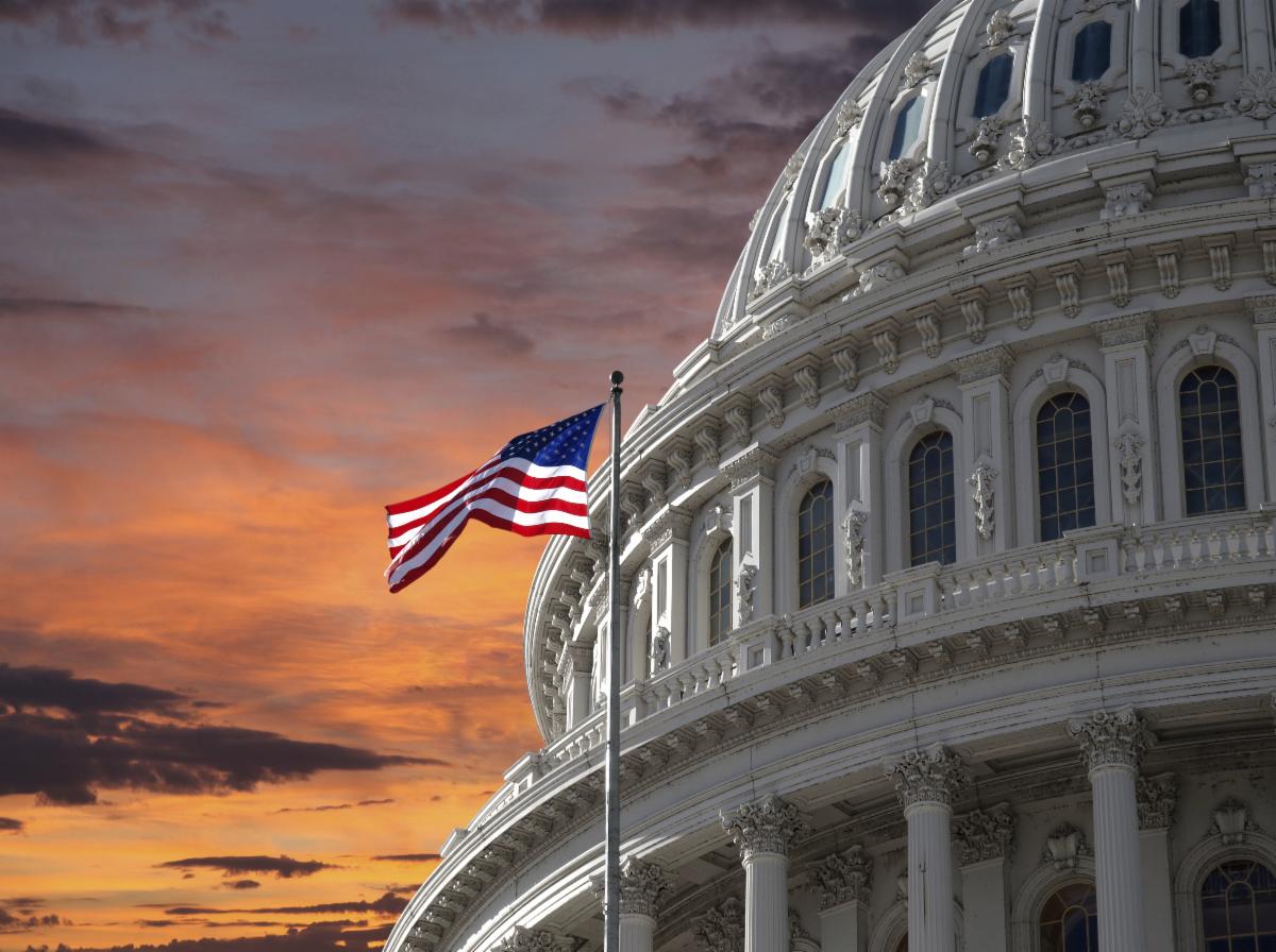 PSA - US Capitol dome with flag