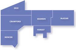 District_8
